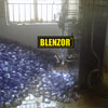 blenzor